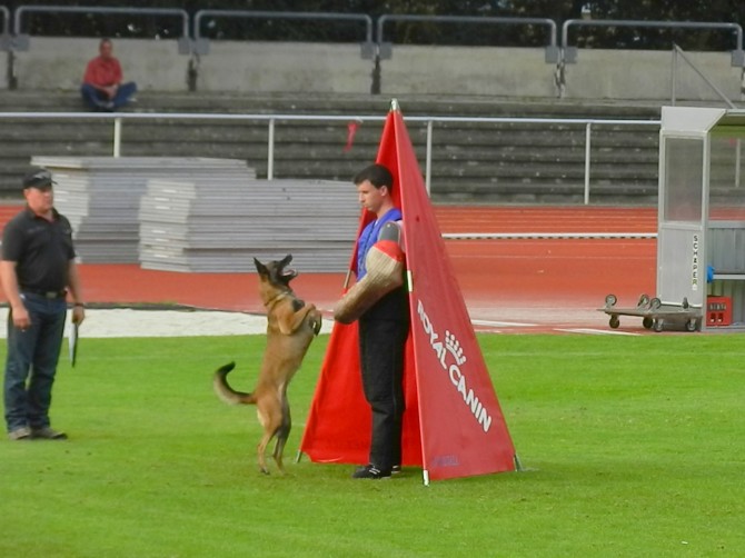  - K-9 Service